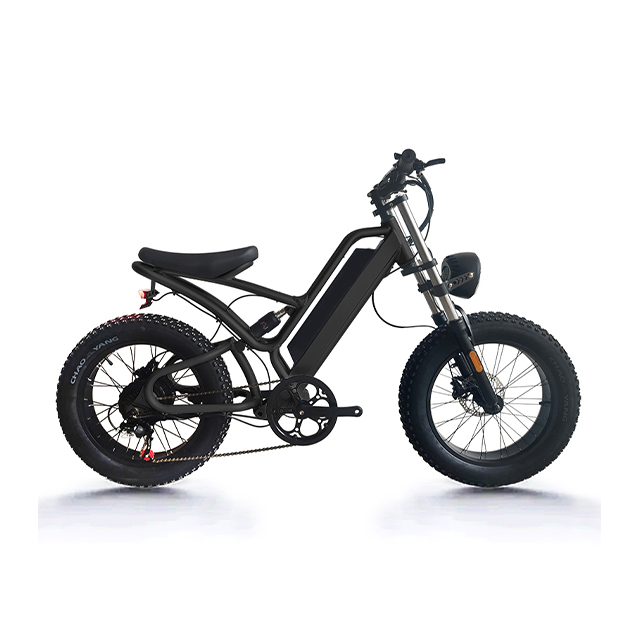 20 inch 7 speed Aluminum alloy Osprey 750W Electric bike