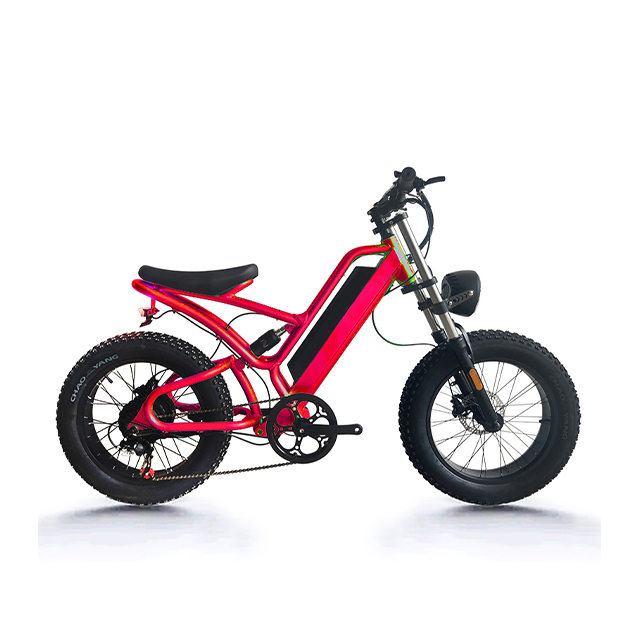 20 inch 7 speed Aluminum alloy Osprey 750W Electric bike