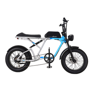 20 inch 7speed A6061 Alloy 350W Fat Tire Electric Bike