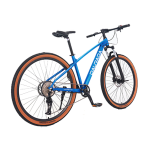 29 inch 10 speed Aluminum alloy Halo MTB