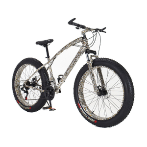 26 inch 21 speed Steel Leopard MTB