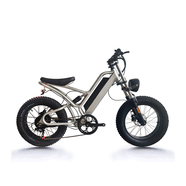 20 inch 7 speed Aluminum alloy Osprey 750W Electric bike