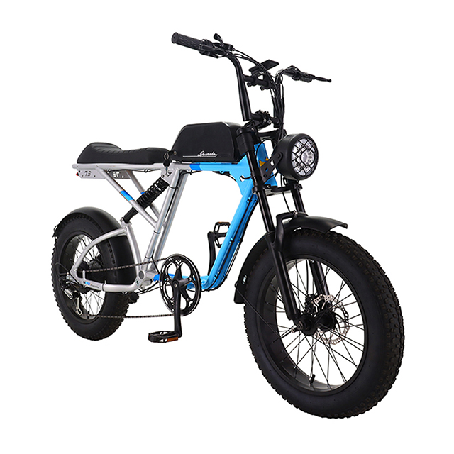 20 inch 7speed A6061 Alloy 350W Fat Tire Electric Bike