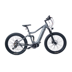 26 inch 9 peed Aluminum alloy 500W electric bike