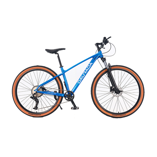 29 inch 10 speed Aluminum alloy Halo MTB