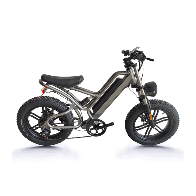 20 inch 7 speed Aluminum alloy Osprey 750W Electric bike