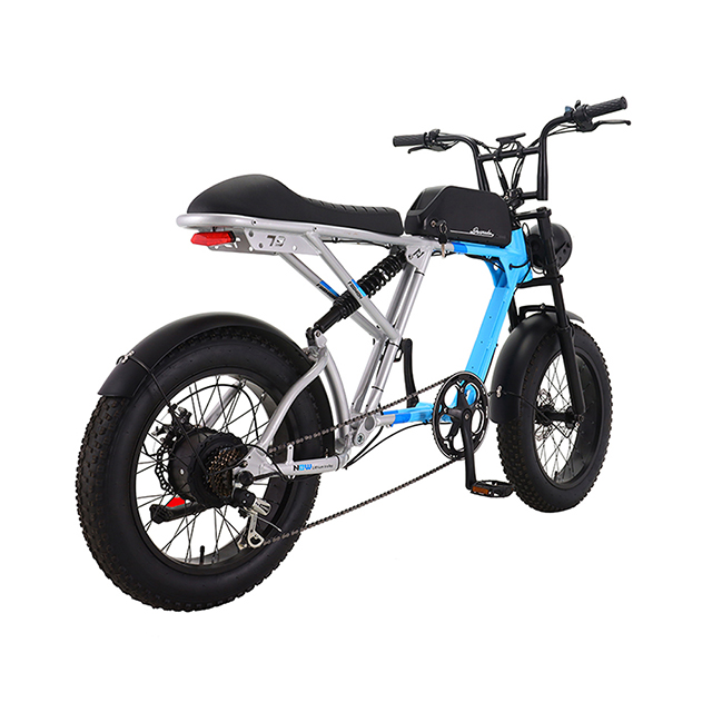 20 inch 7speed A6061 Alloy 350W Fat Tire Electric Bike