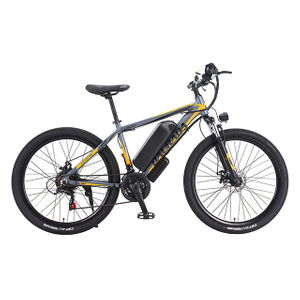 26 inch 21 speed Aluminum alloy 350W Explorer Electric bike 