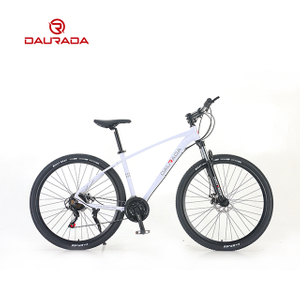 29 inch 21 speed Aluminum alloy DUKE MTB