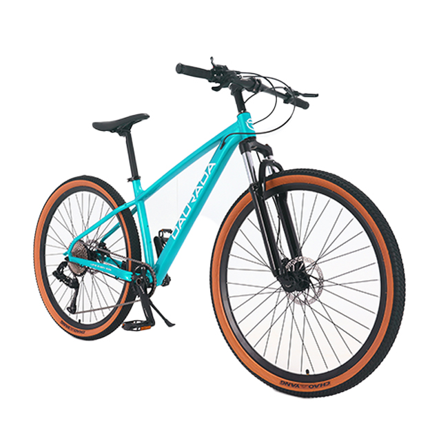 29 inch 10 speed Aluminum alloy Halo MTB