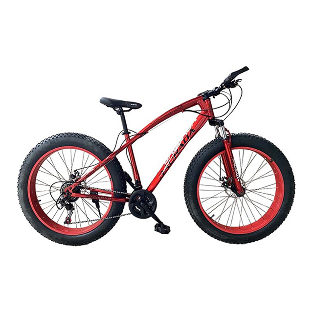 26 inch 21 speed Steel Leopard MTB