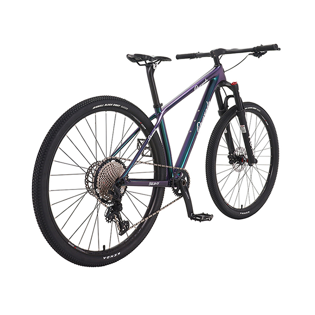 29 inch 12 speed Carbon fiber mountain bike