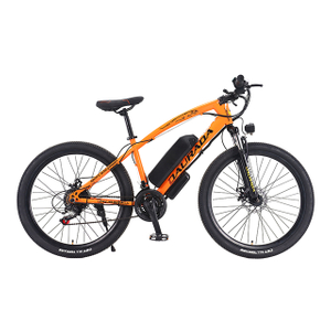 26 inch 21 speed 350W Jaguar Electric bike 