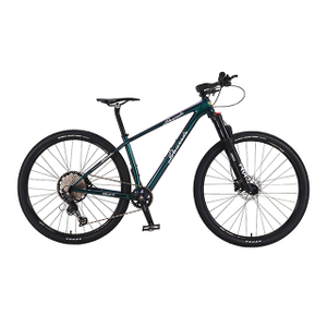 29 inch 12 speed Carbon fiber mountain bike