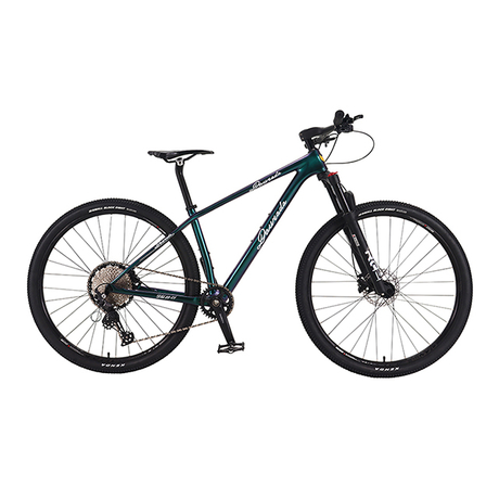 29 inch 12 speed Carbon fiber mountain bike