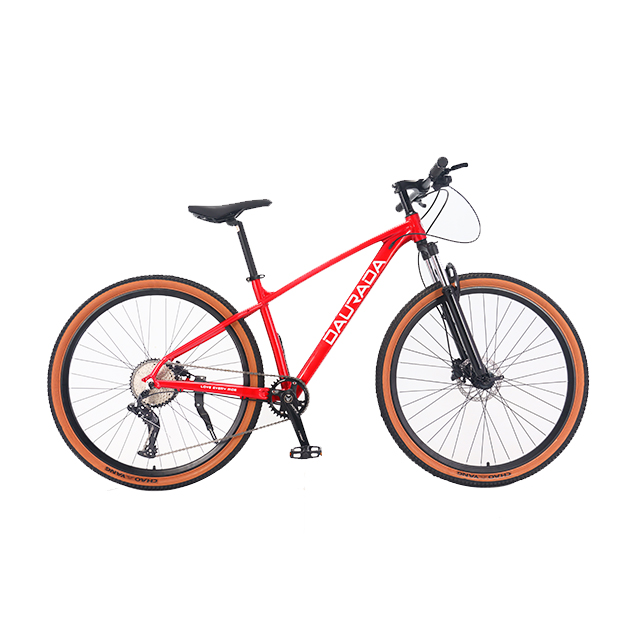 29 inch 10 speed Aluminum alloy Halo MTB