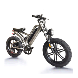 20 inch 7 speed Aluminum alloy Osprey 750W Electric bike