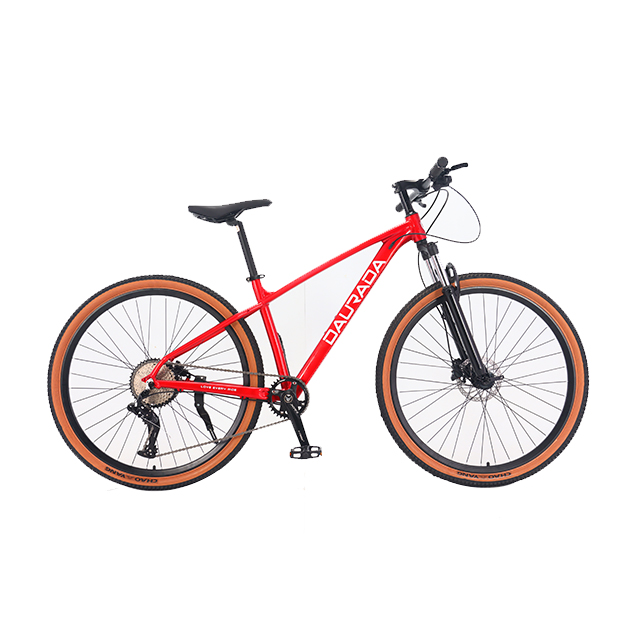 29 inch 10 speed Aluminum alloy Halo MTB