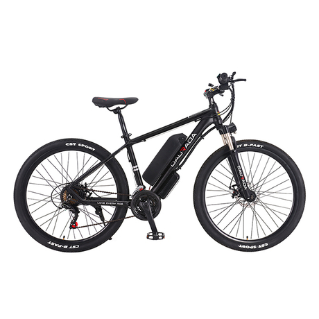 27.5 inch 21 speed Aluminum alloy 350W Pantom Electric bike 