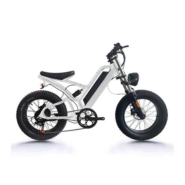 20 inch 7 speed Aluminum alloy Osprey 750W Electric bike