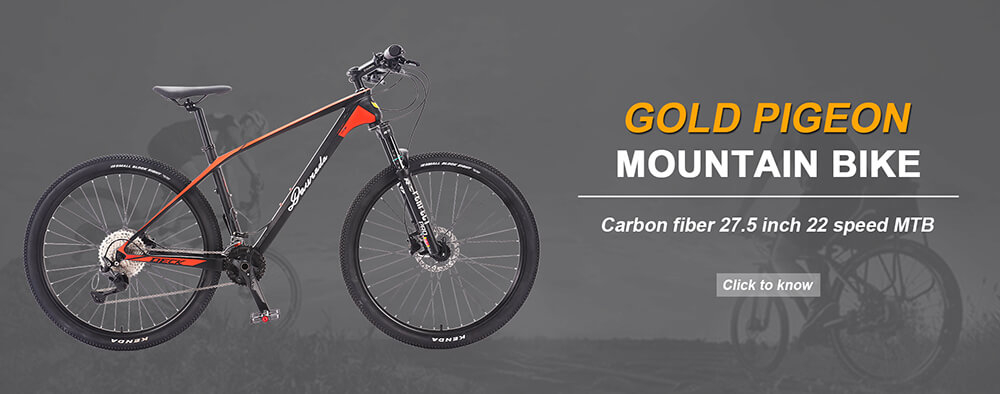 碳纤维红鸽山地